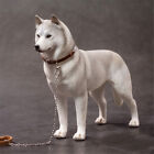 1/6 Mr.Z Siberian Husky Dog Pet Huskie Figure Animal Decor Model Toy Kid Gift