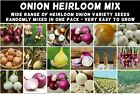ONION Heirloom Mix 100 NON-GMO Garden Seeds ALL TYPES DELICIOUS overwinter tasty