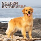 Golden Retrievers | 2024 12x24