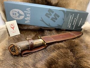 Muela Carved Podenquero Knife Stag Handles With Dagger Blade Leather Sheath A++