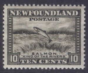 NEWFOUNDLAND 193 1932 DEFINITIVE ISSUE 10c OLIVE BLACK LEAPING SALMON VF MNH