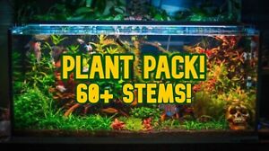 60+ Pieces! Live Aquarium Stem Plants Assortment Freshwater Aquascape
