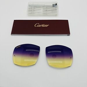 Cartier C-Decor Lenses for Signature Frames BIG C CT00920 ✨