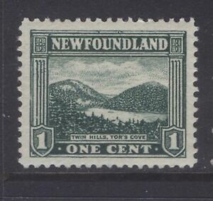 NEWFOUNDLAND 131 1923 PICTORIAL ISSUE 1c GREY GREEN TWIN HILLS TOR'S COVE VF MPH