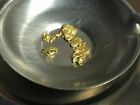 Gold Nuggets by the Quarter Gram Alaskan Natural Placer Gold Free US Shipping