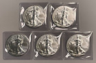 Lot of Five 2024 1 oz American Silver Eagle BU Coins, in Vinyl Flips