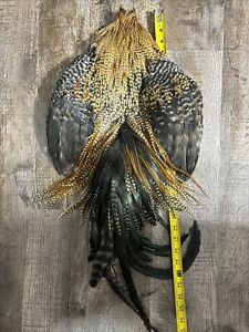 Full Creek Barred Ginger Rooster Skin Saddle Cape Fly Tying Fishing  Feathers
