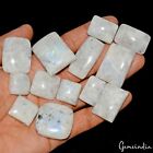 13 Pcs Natural Moonstone Untreated Mix Cabochon Certified Gemstones ~ 650 Ct Lot