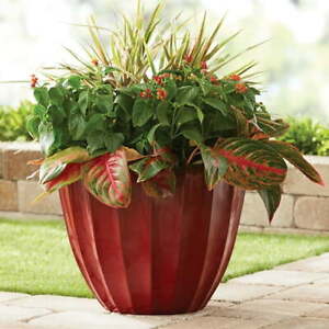Resin Planter,15.9 x 15.9 x 12.6in, Plant Pot Planter,Outdoor Indoor Planter Box