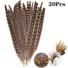 20pcs Natural Pheasant Tail Feathers 10-12 Inch Long Craft Party DIY