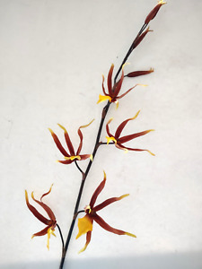 Artificial Oncidium Papilio SP.  Spider orchid stem.  Silk orchids.