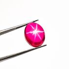 Natural 6 Ray Red Star Ruby  09X11X05 MM Oval Cabochon Loose