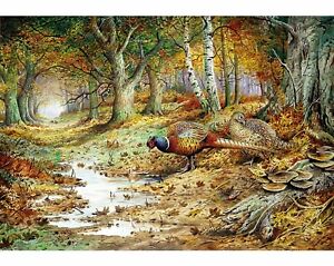 Wentworth Wooden Jigsaw Puzzle Cock Pheasant & Sulphur Tuft Fungi 500 Pieces