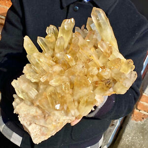 10.36LB Natural Citrine cluster mineral specimen quartz crystal healing