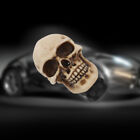 Universal Bone Skull Head Manual Gear Stick Shift Knob Shifter Lever Handle