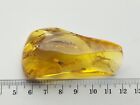 Baltic natural, polished amber. Weighs 18 gr.