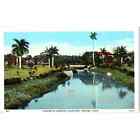 A Scene in Country Club Park Havana Cuba Original Postcard TK1-P16