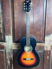 Recording King RPH-05 Solid Top Parlor Size Steel String Acoustic Guitar  