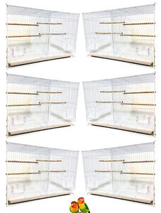 Lot of 6 Breeding Bird Divider Cages For Aviary Canary Budgie Finch 24x16x16