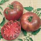 Cherokee Purple Tomato Seeds, Heirloom, NON-GMO, Variety Sizes, FREE SHIPPING