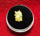 California Natural Gold Nugget 2.0 Grams in a Gem jar w/lid