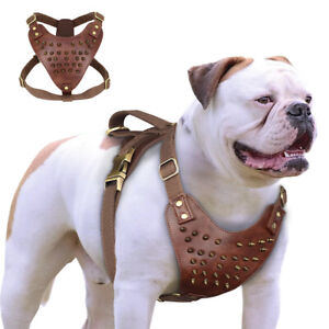 Spiked Studded Dog Harness No Pull Heavy Duty Genuine Leather Vest Brown Pitbull