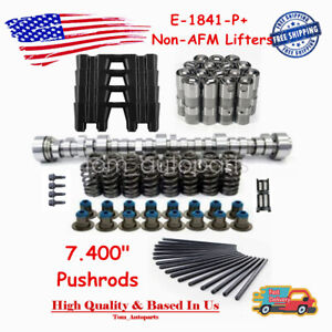 E-1841-P Sloppy Stage 3 Cam Lifters Springs Pushrods For Chevy LS .595