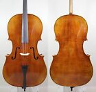 Master's Own Work! Pietro Giacomo Rogeri Cello 1717! 
