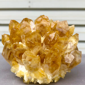 1.36lb  New Find Yellow  Phantom Quartz Crystal Cluster Mineral Specimen Healing