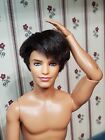 Vintage Ryan ken fashionista doll life in the dream house articulated