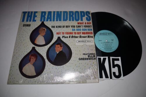 The Raindrops Self Titled Record lp original vinyl album shrink doo-wop