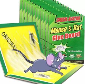 12 Pack Large Mouse Glue Traps with Enhanced Stickiness