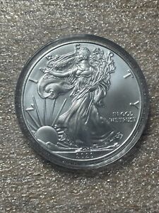 New Listing2020 American Silver Eagle- 1 Troy Ounce .999 Fine Silver in Capsule- Spotting