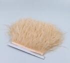 Peach Ostrich Feather Trims Fringes Sewn on Feather 1 Yard  (USA)
