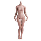 1/6 Female Figure Body Girl Worldbox AT201 Suntan/Wheat For 12