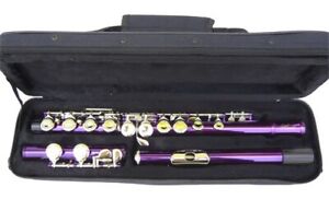NEW PURPLE C FLUTE -  STUDENT SCHOOL BAND FLUTE W/CASE.APPROVED. WARRANTY.