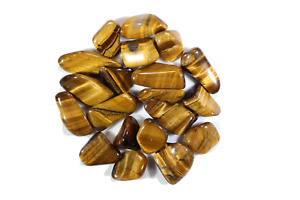 Gold Tiger's Eye Tumbled Gemstones - Bulk Wholesale Options - 1 LB
