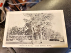 Birchview Motel Coon Rapids Minnesota Postcard  Unposted