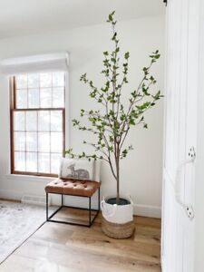 6.5’ Artificial Citrus Minimalist Tree Home Decor. Retail $248