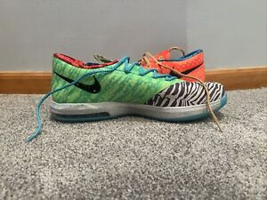 Size 16 - Nike KD 6 What The KD