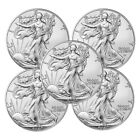 2024 1 Oz American Silver Eagle Coin .999 Fine (BU) Lot of 5 - SHIPPING NOW!