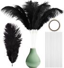 Ragnify Pack of 24 Natural Black Ostrich Feathers 10-12 Inches with 24 Sticks 10