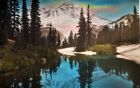 Unsigned (Pos. Edson) Hand Tinted Photo of Mt. Rainier from Mirror Lake c. 1925)