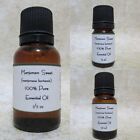Marjoram Sweet  Essential Oil  Aromatherapy 100% Therapeutic Grade