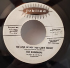 Raindrops THE KIND OF BOY YOU CAN'T FORGET (PROMO R&R 45) #5455 PLAYS VG+