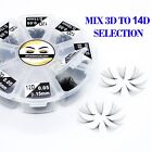 1000 Fans Mixed 14D, 12D, 10D, 8D, 7D, 6D, 5D, 4D, 3D Lashes. Eyelash Extensions