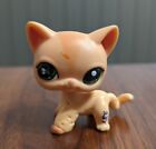 AUTHENTIC LPS Littlest Pet Shop Orange Shorthair Cat #1764 Blemished!