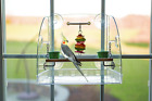 Featherland Paradise Window Play Center Parrot Play Gym Bird Playground Stand