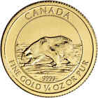 New Listing1/4 oz Canadian Polar Bear Gold Coin BU (Random Year)