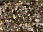 Lot 1Lb Pound  World Foreign Coins Unsearched Free shipping!